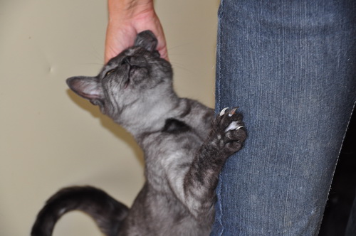 Foto: Zavetišče Horjul